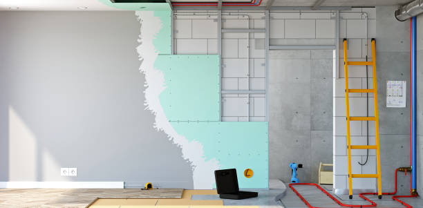 Trusted Garyville, LA Mold Removal Experts